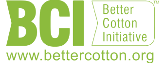 BCI-Logo